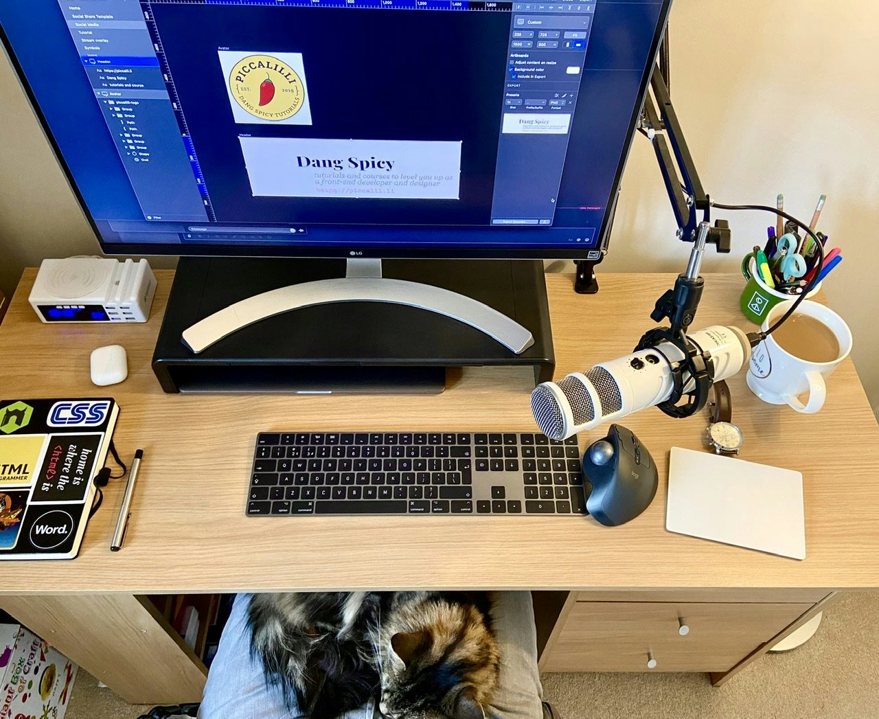 High shot of my desk with my cat on my lap