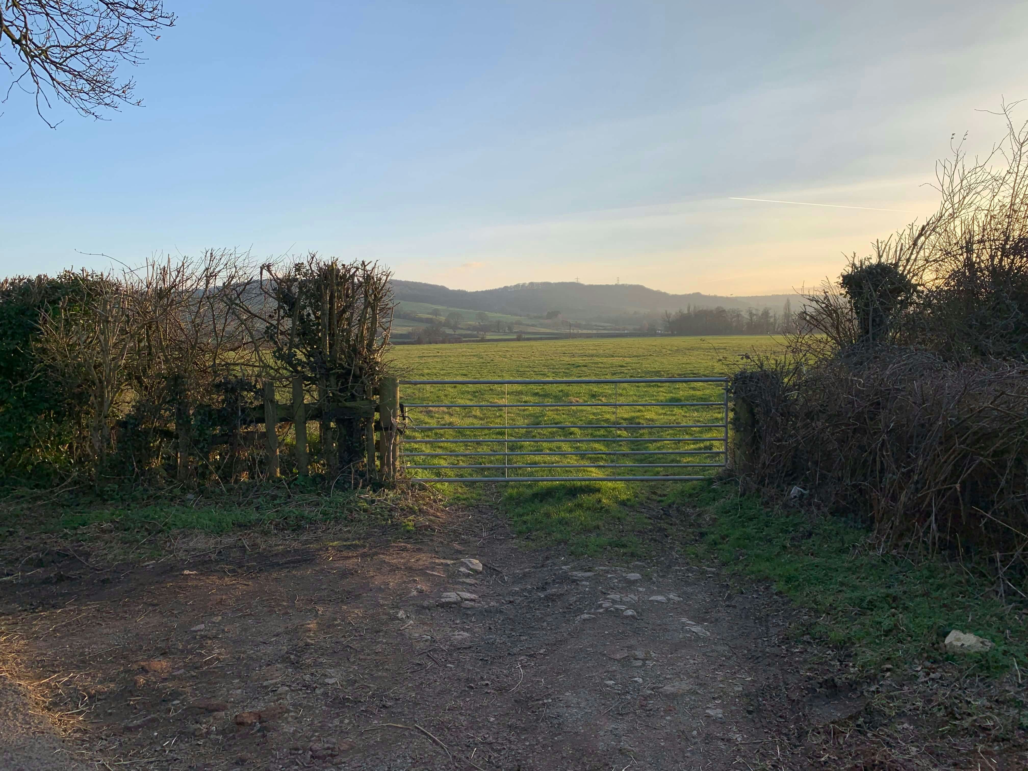 A field with low sun. A gate is in the foreground.