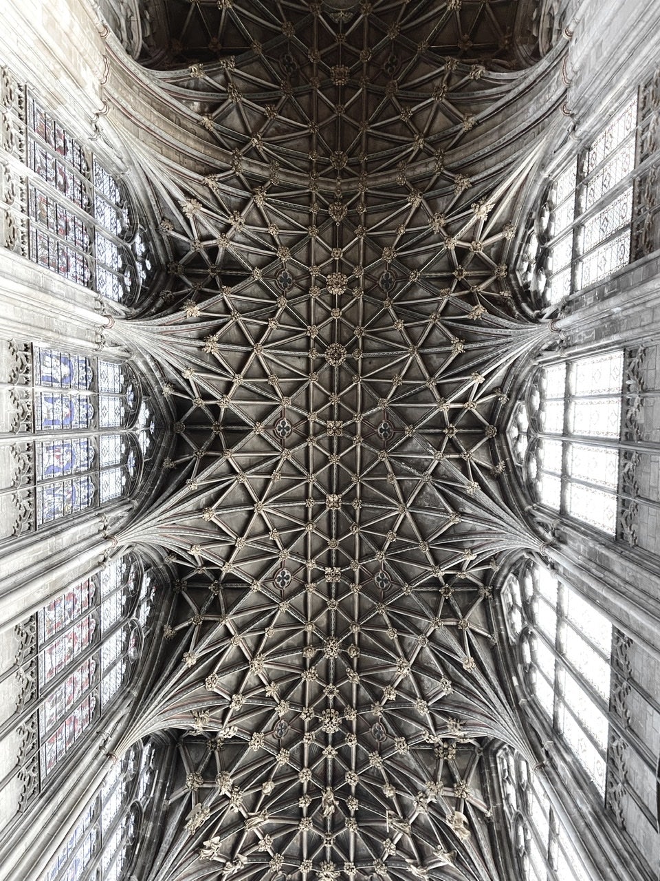 the ceiling of the cathedral which looks like a web