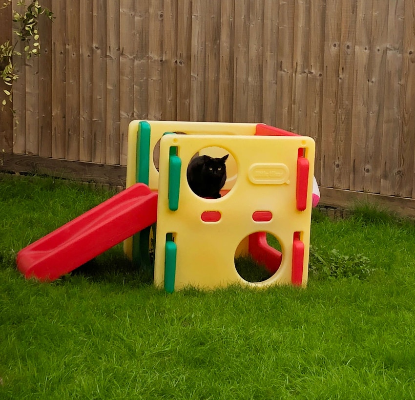 A black cat sitting on a children's box slide, sulking