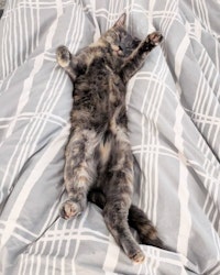 Miriam lies on her back, showing her belly