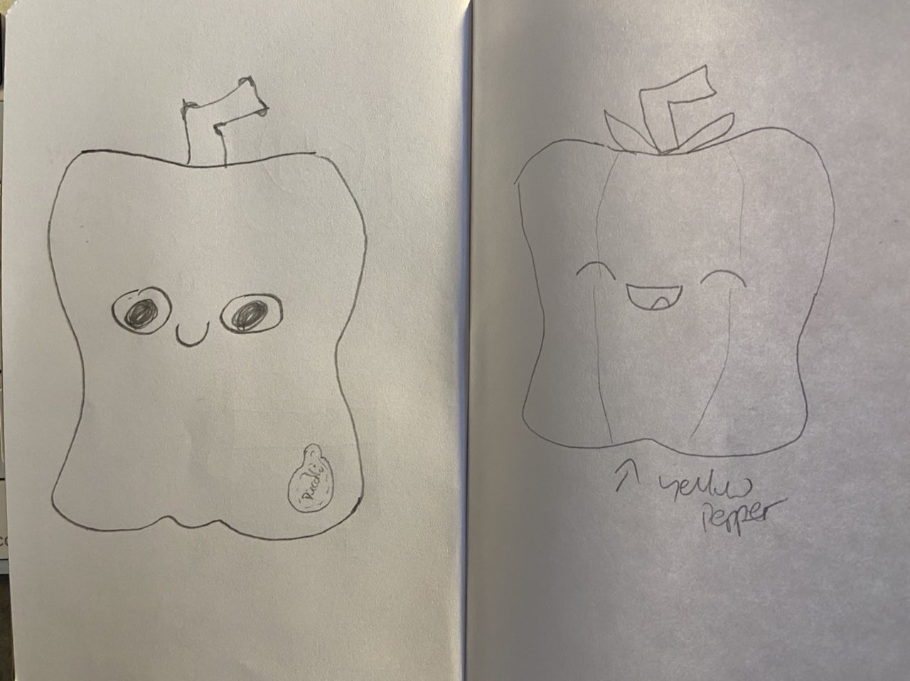 A two page spread in my notebook has two awful drawings of peppers